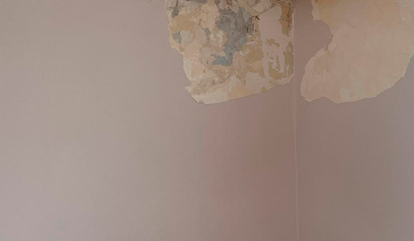 reparación y saneamiento de pared